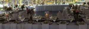 party chair and table rentals Lutz